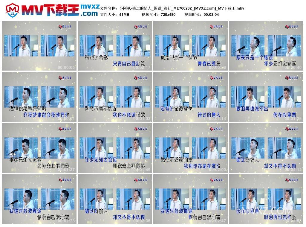 小阿枫-错过的情人_国语_流行_ME700282